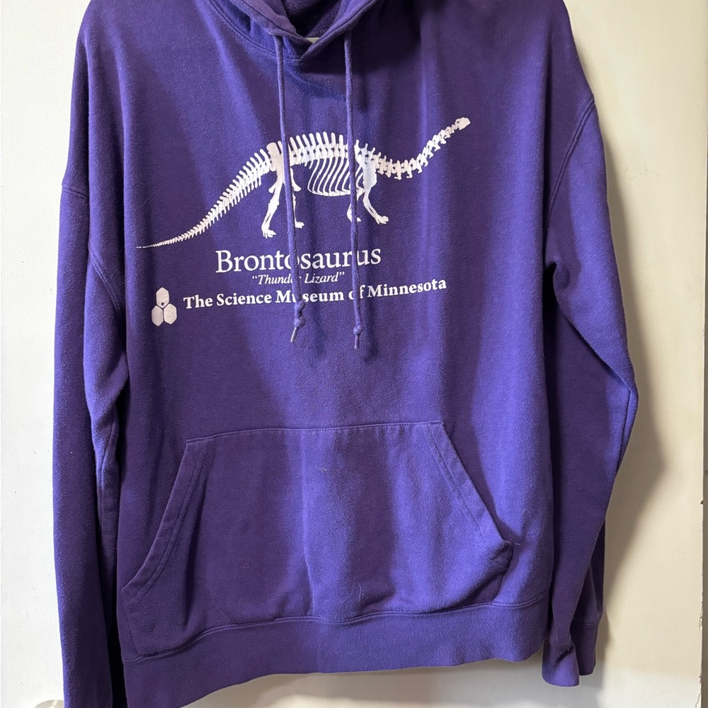 Stranger Things Dinosaur Hoodie